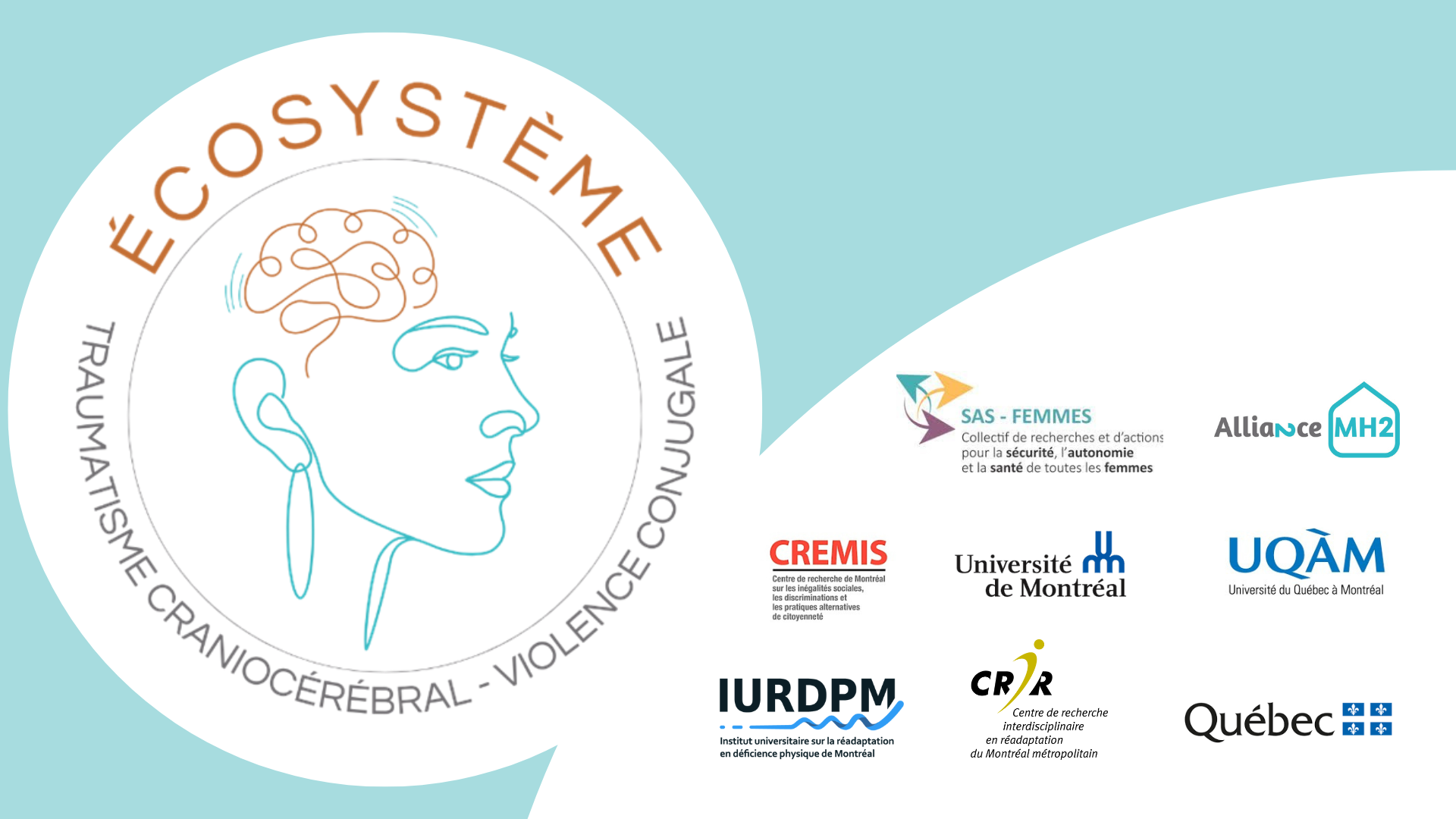 Violence conjugale et TCC -