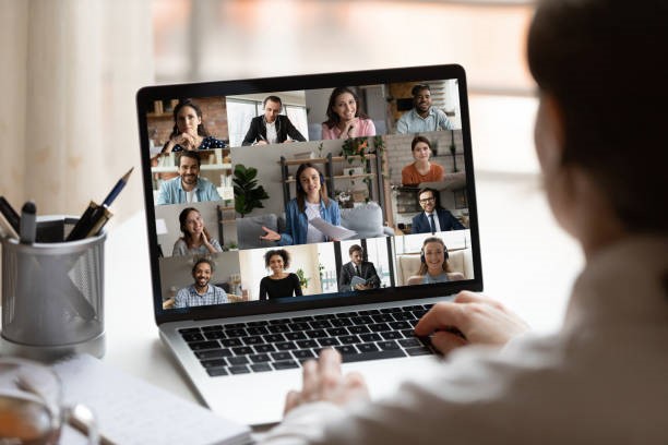 Visuel d'une personne de dos en visioconférence sur son laptop avec environ 15 personnes